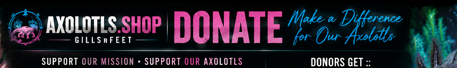 Axolotls Shop Donation