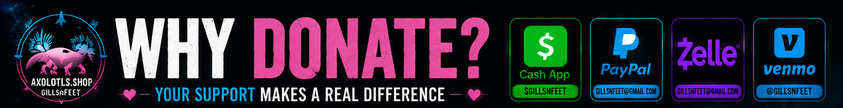 Why Donate to Our Axolotls Shop